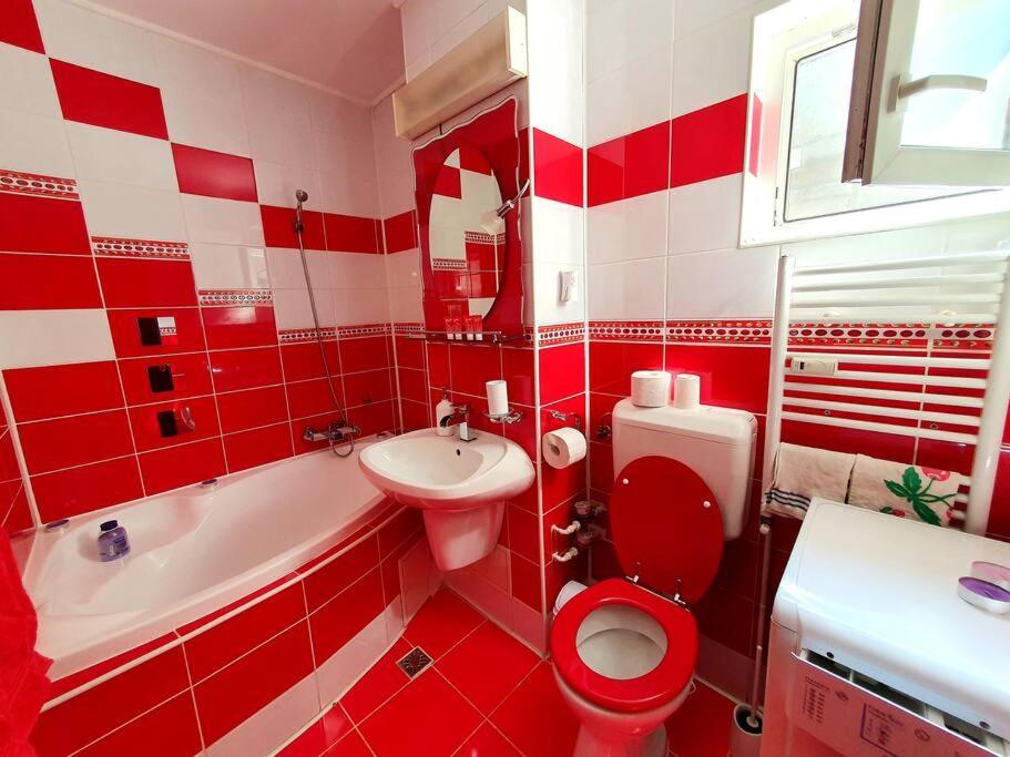 Crema Apartaments Ploieşti Buitenkant foto